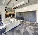1-bedroom apartment at Arise Riverside Apartments in Austin